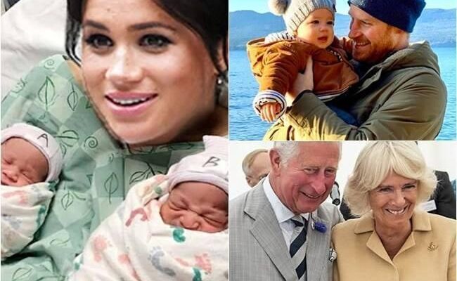 Breaking News: The British royal family announces joyful news as the wife of Prince Harry gives birth to twins, adding two more heirs to the royal lineage. King Charles rejoices as he names them