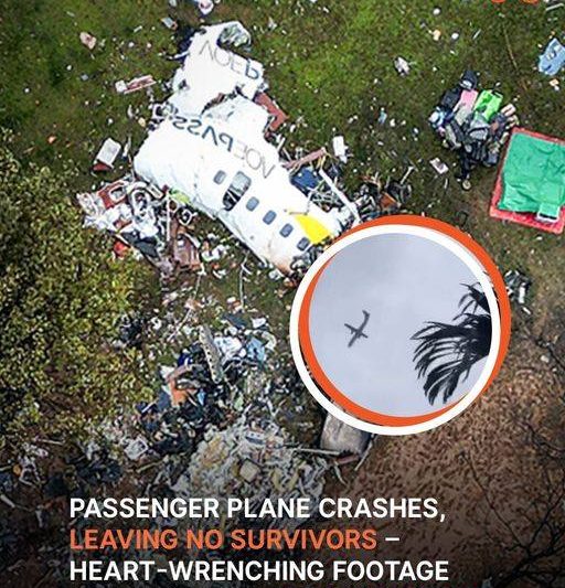 Passenger Plane Crashes in Brazil, Tragically Killing All Onboard – Footage Captures the Incident