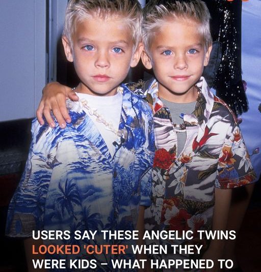 Users Say These Angelic Twins Looked ‘Cuter’ as Kids—What Happened to Them after They Briefly Disappeared from the Limelight?