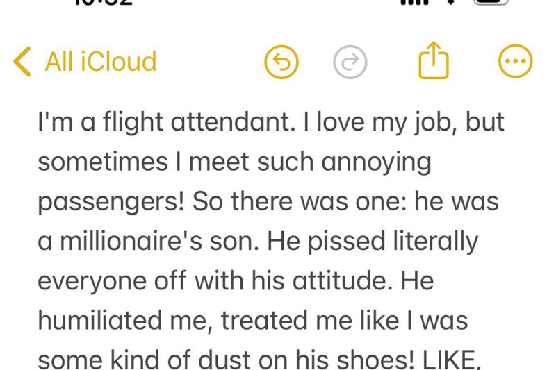 Stewardess Breaks the Rules to Talk Some Sense into Raging Son of a Millionaire during a Flight – Story of the Day