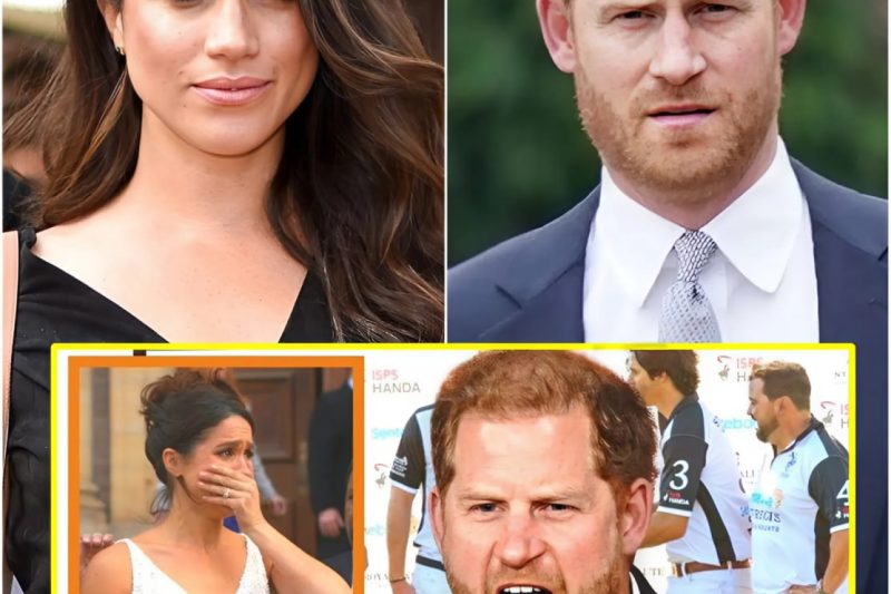 STAY OUT OF THIS! Harry Seen Smirking At Meghan As She DEMAND To Be Included In Netflix Polo Docu